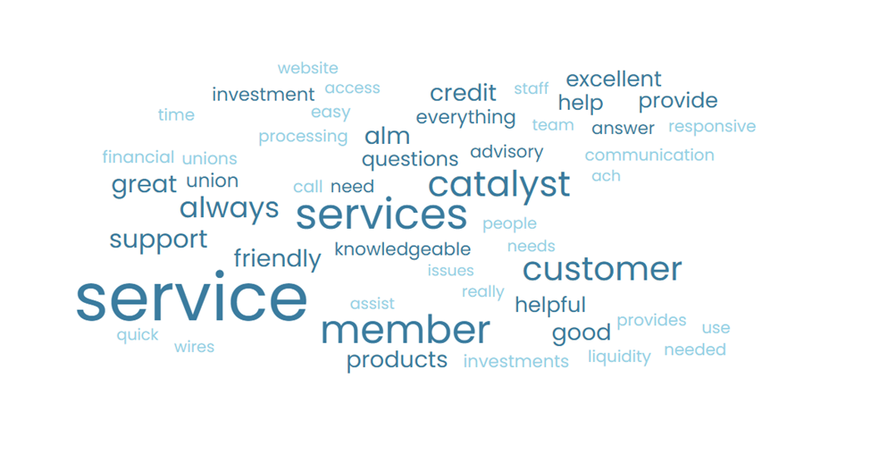 Word-Cloud-NPS-2025-1.png Word-Cloud-NPS-2025-1.png